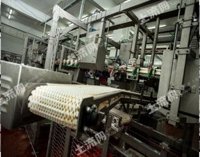 俄罗斯现代肉类加工厂整体转让与先进技术推广